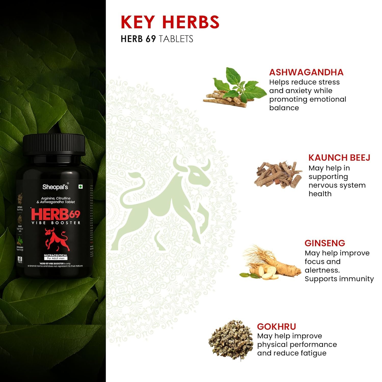 81tcE7WvenL._SL1500_